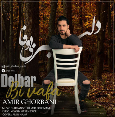 امیر قربانی دلبر بی وفا